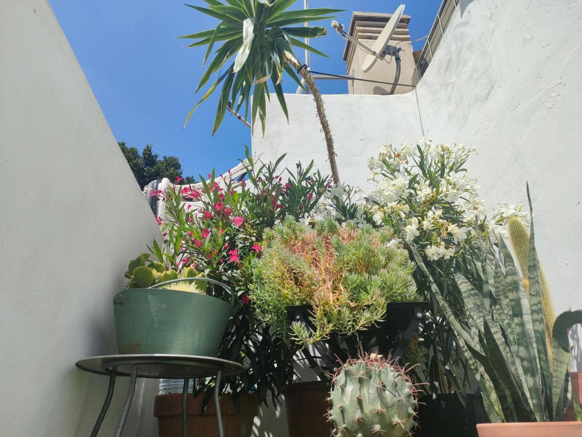 Historic Center Private Terrace Apartment มาลากา ภายนอก รูปภาพ
